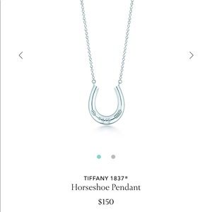 New Tiffany & Co. horseshoe silver necklace